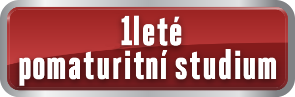 1leté pomaturitní studium